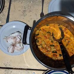 Rotfeuerfisch mit Reis und Gemüse 🤗