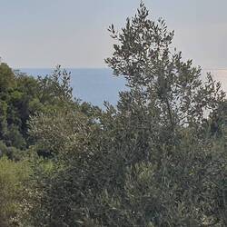 SIND DAS GEWITTERWOLKEN?
