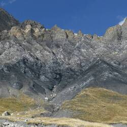 Det er i dette område vi plejer at se muflon