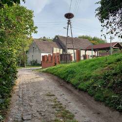 Typischer Dorfweg und Storchennester waren Normalität!