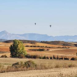 It's Monday and some people have time to play around in hot air balloon