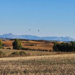 Hot air balloons gracing the skies.