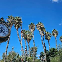 Lovely train station on the way to L.A.