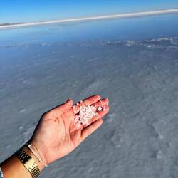 Jemand Salz gefällig?