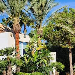 next visit to Marbella, Spain...I'd like to book this VRBO😁