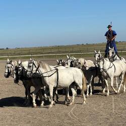 Incredible display of strength and team control by rider