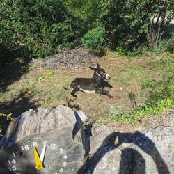 Pass bloß auf... 😂