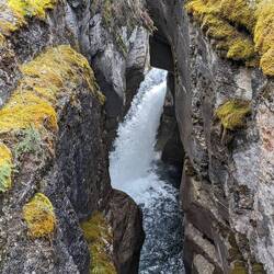 Maligne Canyon
