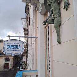 Rained last night 🌙