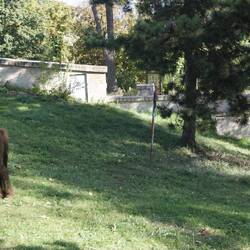 Lawn mowers at work at ground of Spilberk Castle