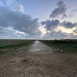 Irgendwo da hinten ist das Meer.. Abendlicher Spaziergang