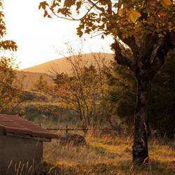 Hier hat der Herbst schon begonnen