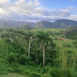 Inspired Spielbergs jurasic Park.