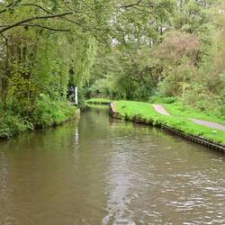 Plenty of narrow sections