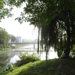 Wörnitzmündung in die Donau