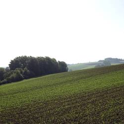 Gleich hinter Donauwörth geht es hügelig los