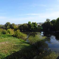 Blick vom Wörnitzsteg