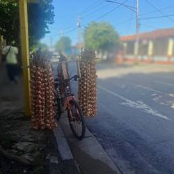 Fresh garlic. Home grown produce is v important