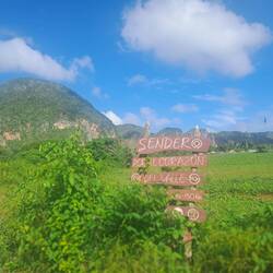 First we head off to a coffee farm.