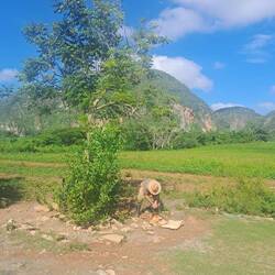 Living off the land.