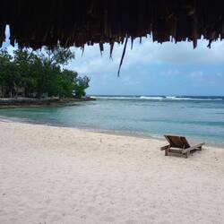 Island life