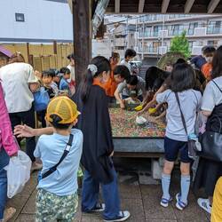 Jeu très populaire de pêche de balles rebondissantes