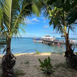 Schon wieder an der Fähre zurück