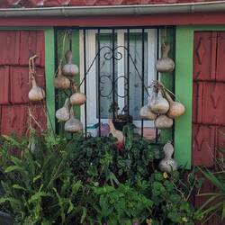Very cool site. Unsure what these gourds are? Almost looked like butternut squash?