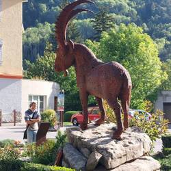 Dagens stenbuk - kiggede ned på os