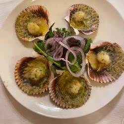 Scallops