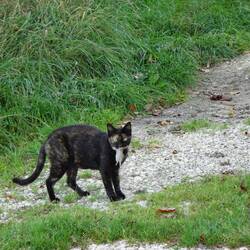 Jagd erfolgreich abgeschlossen
