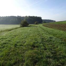 Ein Marsch durch feuchtes Gras