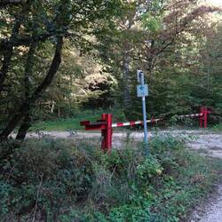 Schlagbaum an der Landesgrenze