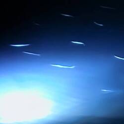 Fish feeding in the light