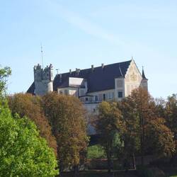 Blick auf das Schloß Taxis von meinem Pausenplatz