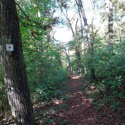 Vom Naturzeltplatz zum Karlsbrunnen