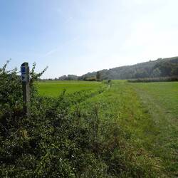 Südrandweg HW2 und Albschäferweg verlaufen hier auf gleichem Track