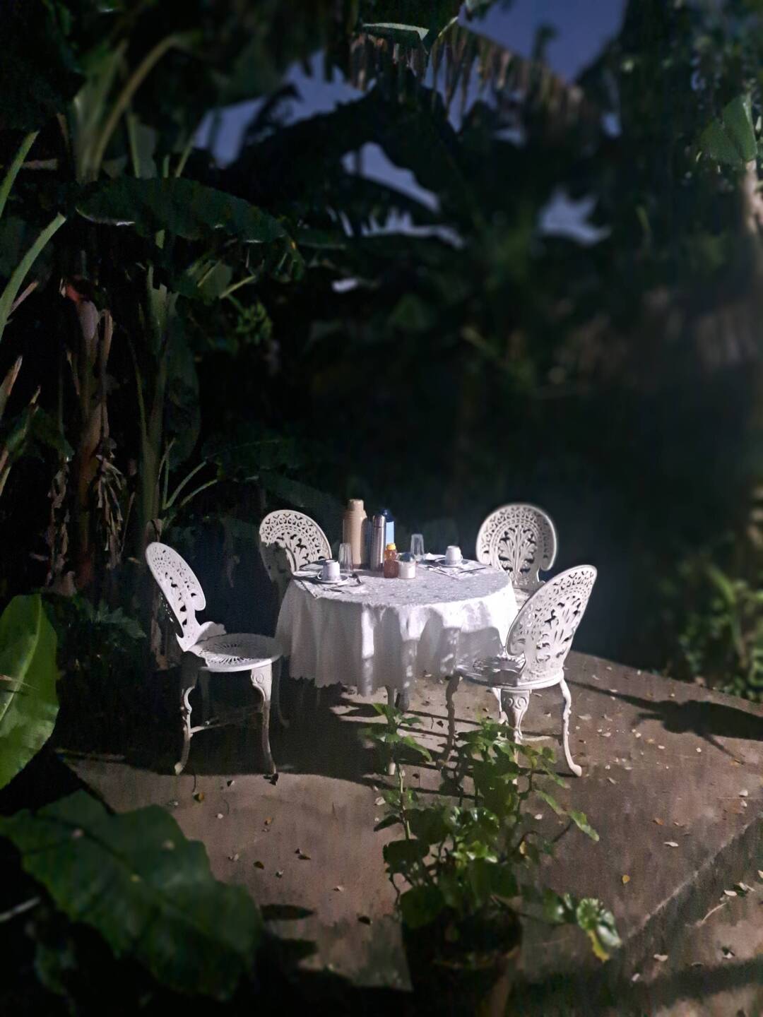 7 45am start so up @ 7am. Watching sun come up having breakfast.