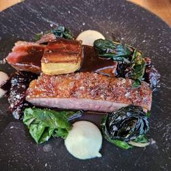 Roman & Janek - Rohan Duck