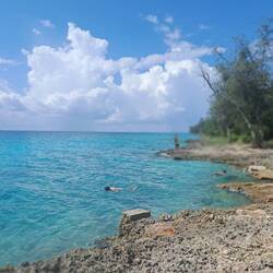 Bay of Pigs swimming