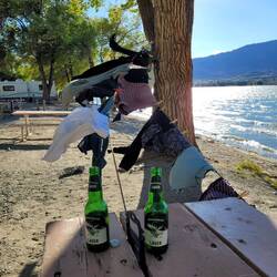 Waschtag mit Schnelltrockner dank dem Wind.