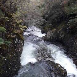This was one of the streams we crossed on our forest walk. So much water.