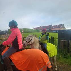 Heading back to drop off the camper van we had to pull off the road to let these two by.