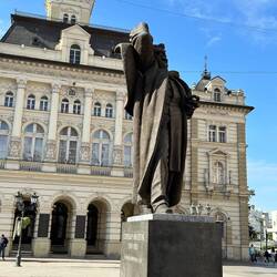 Svetozar Miletic the most influential politician of the 19th century