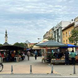 Friday morning market