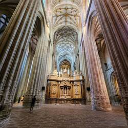 The nave in the Cathedral
