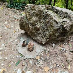 I laughed out loud at that which amused the people around me. Rock climbers tie rope to the ring.