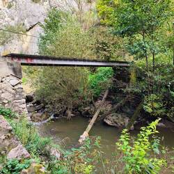 Many bridges, some stable others wobbly