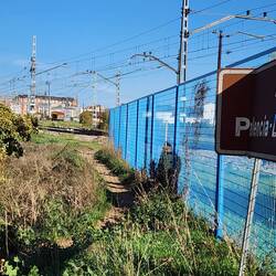 ...meanwhile the locals take the dirt trail and walk on the tracks.