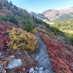 Efterårsfarverne er endelig kommet